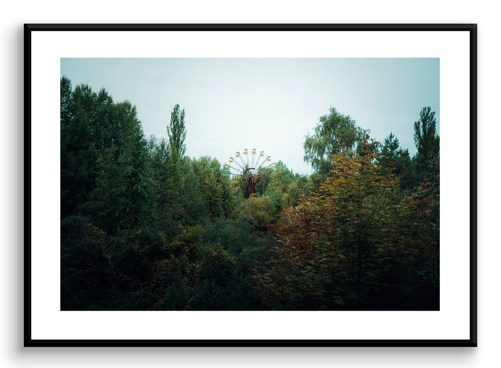 Grande roue et végétation