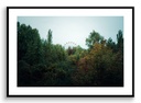 Grande roue et végétation
