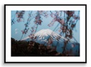 Mont Fuji et sakura