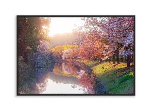 Couleurs de printemps