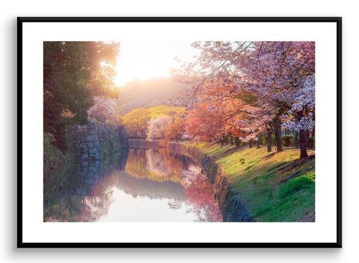 Couleurs de printemps