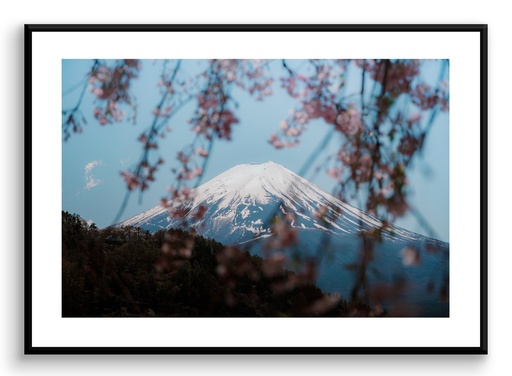 Mont Fuji et sakura
