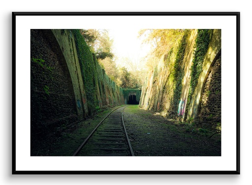 Petite ceinture